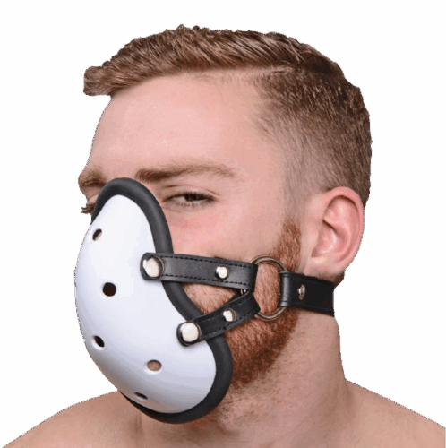 HIMBO mock2